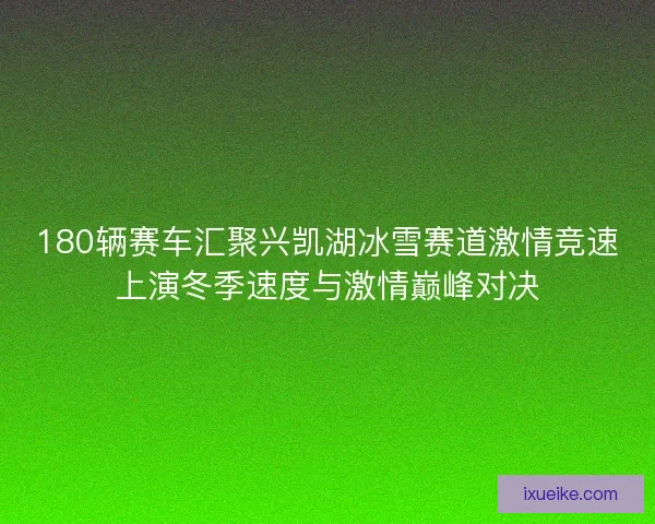180辆赛车汇聚兴凯湖冰雪赛道激情竞速上演冬季速度与激情巅峰对决